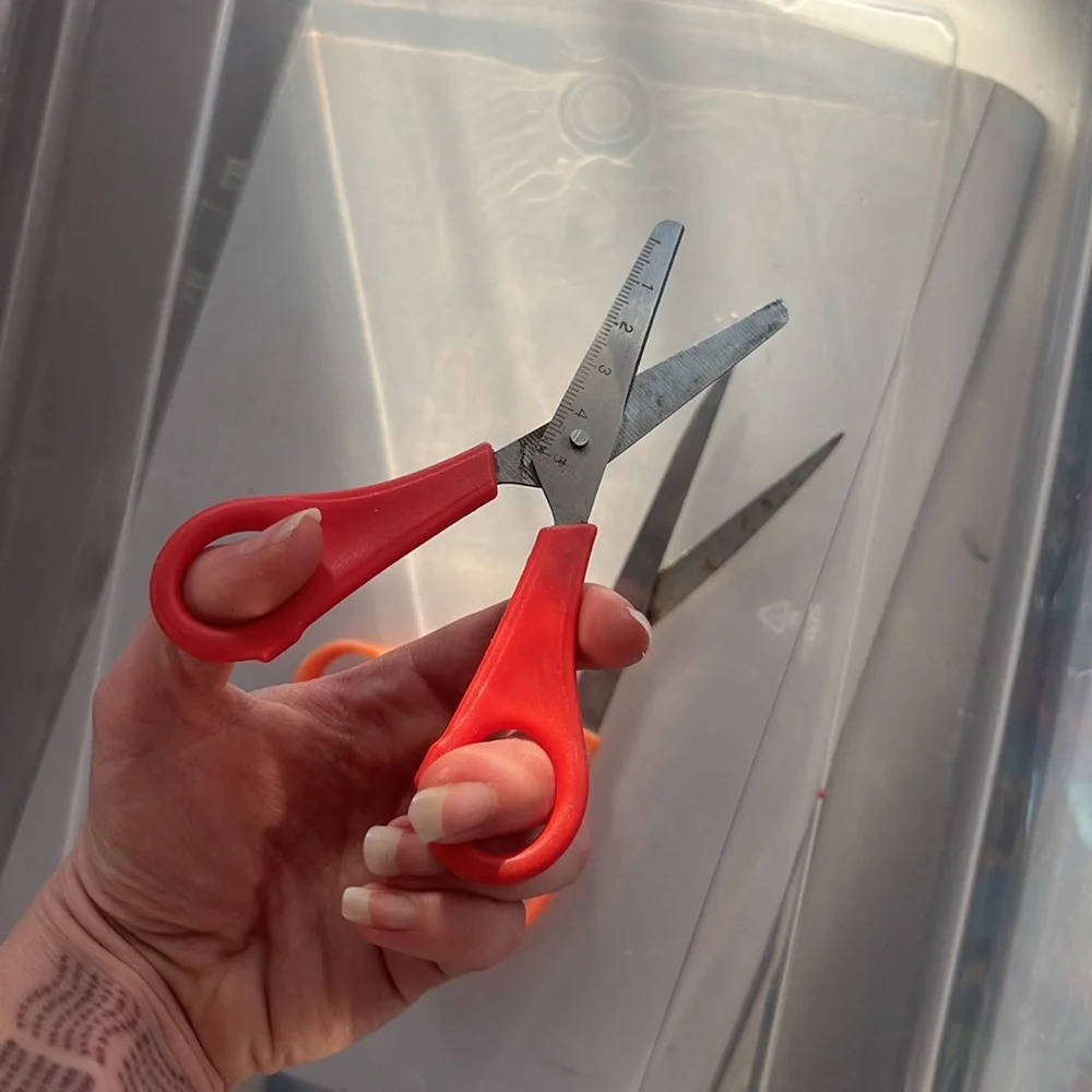Scissors - Picture 4 of 6